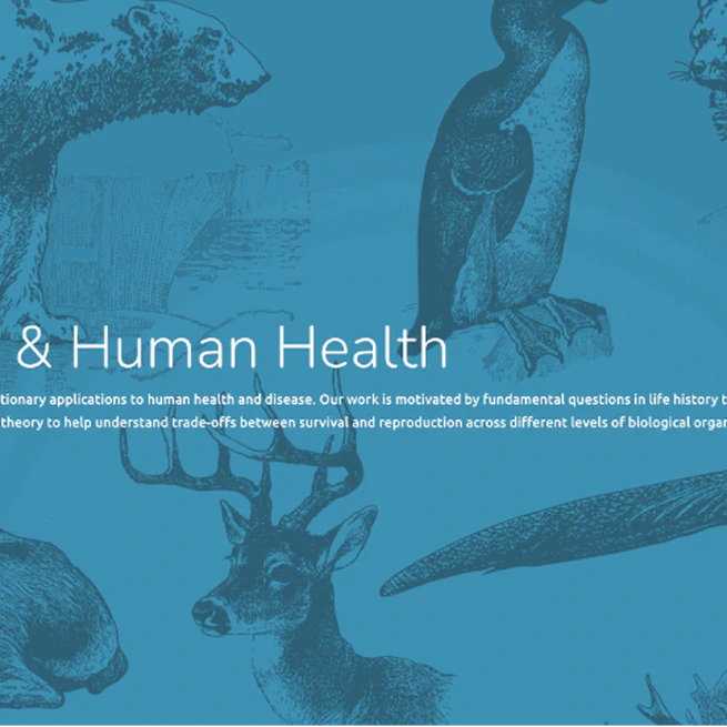 Life-History Tradeoffs & Placental Evolution in Mammals